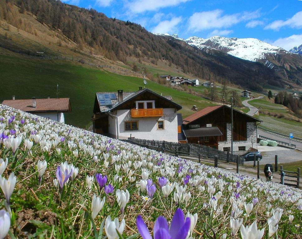 Villa Padoellhof Curon Venosta Exterior foto
